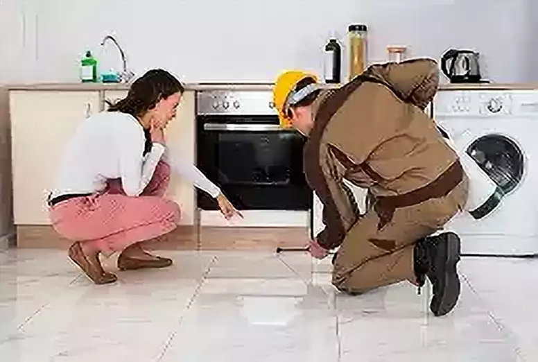 Image of a home owner showing a pest contractor where to spray for insects around the stove